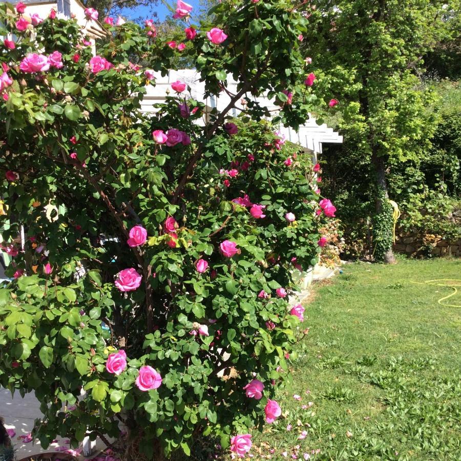 Bienvenue Chez Alain Et Marie Apartment Antibes Luaran gambar